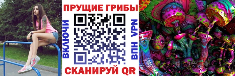 Галлюциногенные грибы Cubensis  Ачхой-Мартан 